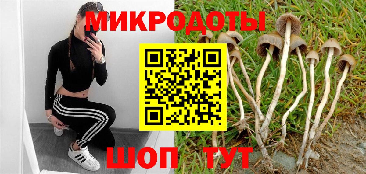 Псилоцибиновые грибы Magic Shrooms Нижний Новгород